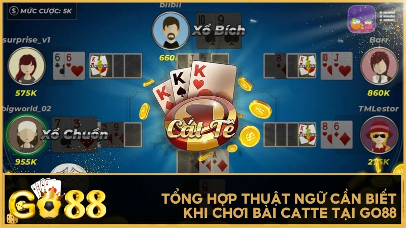 Tổng hợp thuật ngữ cần biết khi chơi bài Catte tại GO88